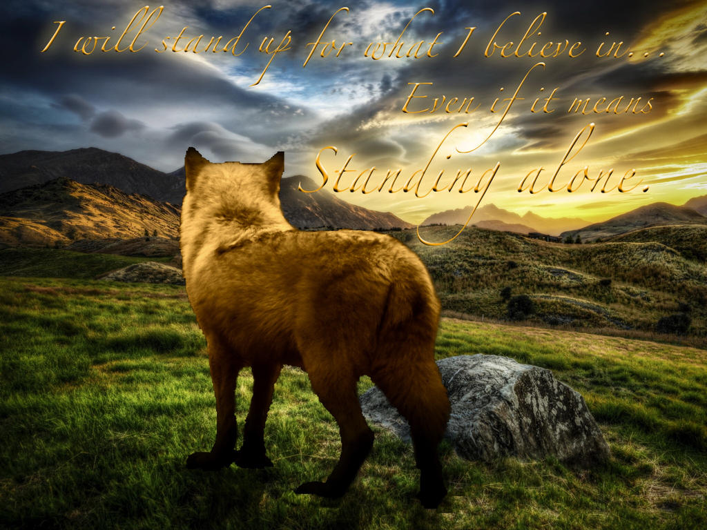 Fight for What's Right by GoldenWolf95 on DeviantArt