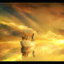 life of Pi .