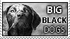 Big Black Dogs - Stamp by BozMurphy