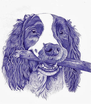 Dog ballpoint pen 4