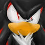 Shadow the Hedgehog