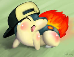 CYNDAQUIL yawned and stretched