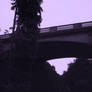 Purple Bridge