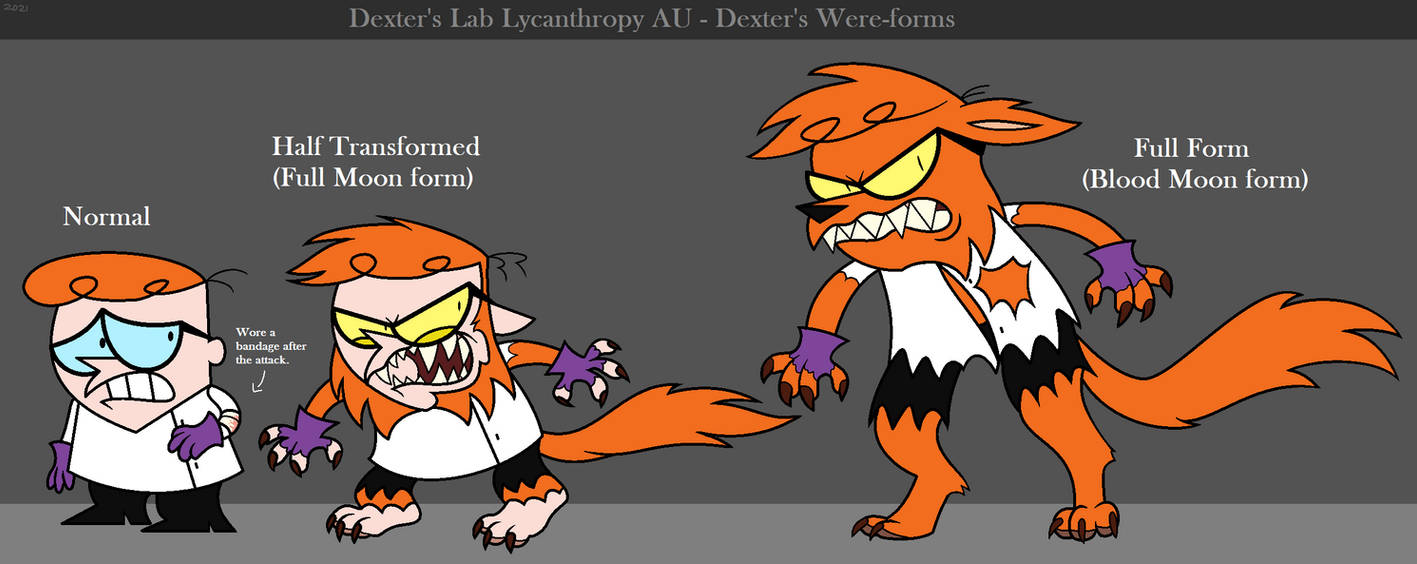DL - Werewolf AU - Dexter's Wereforms by HatSamPixie32 on DeviantArt