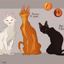 Winking Cats Info Sheet