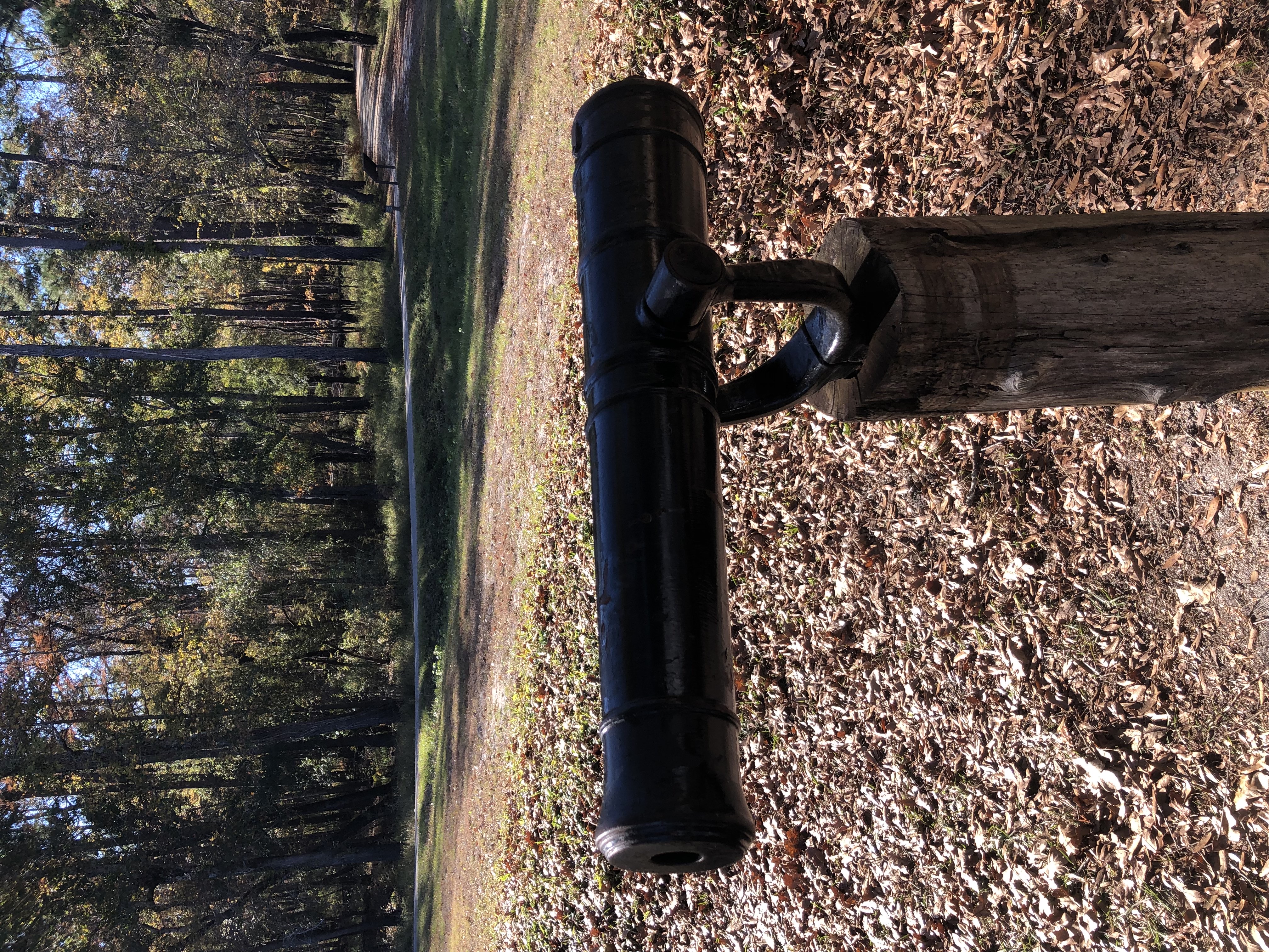 Revolutionary War Cannon 2