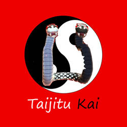 RWBY Taijitu Kai Dojo Symbol