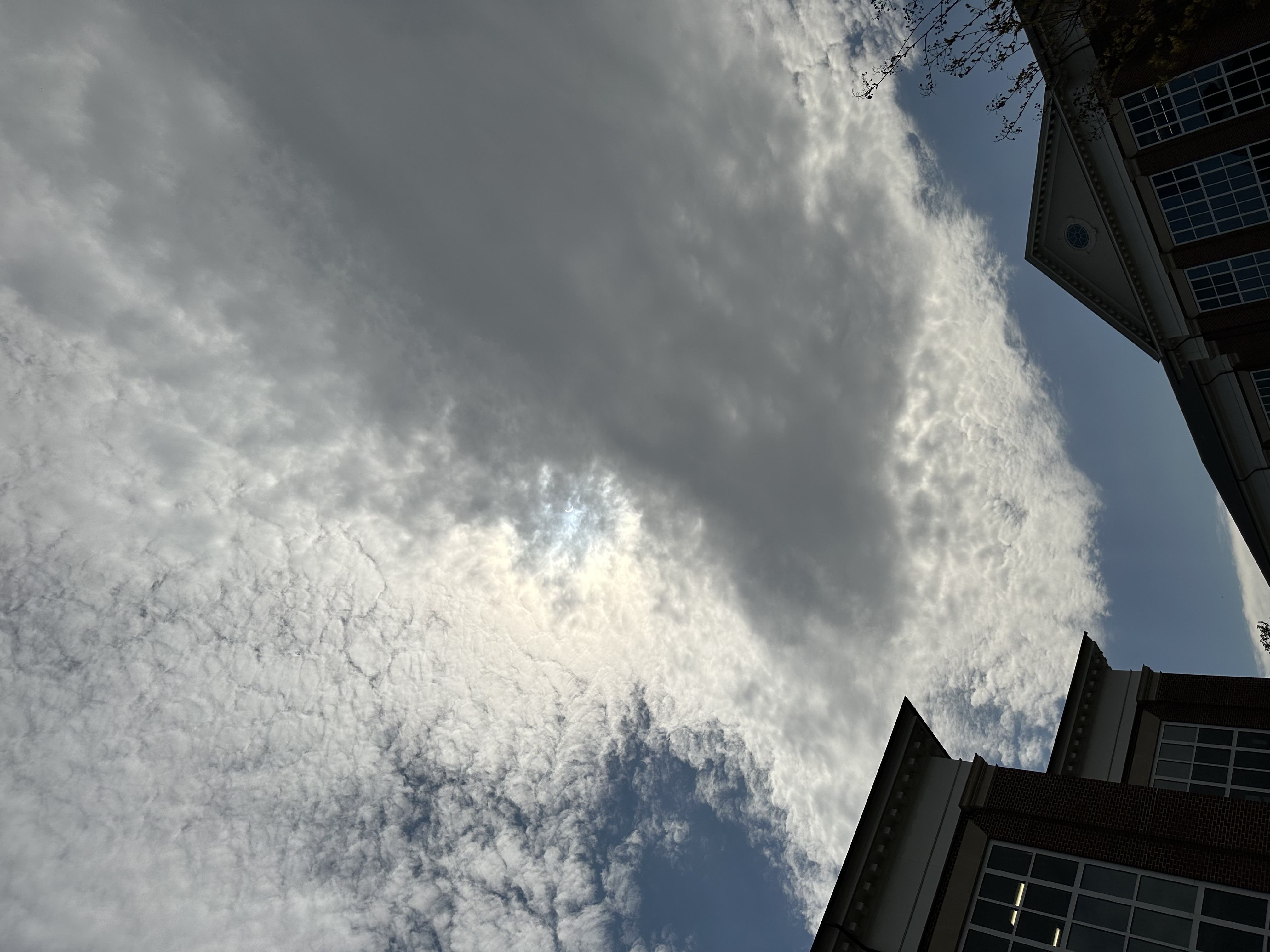 2024 Solar Eclipse Picture 5