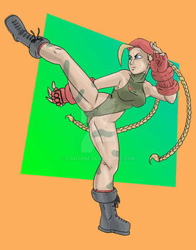 Cammy 2