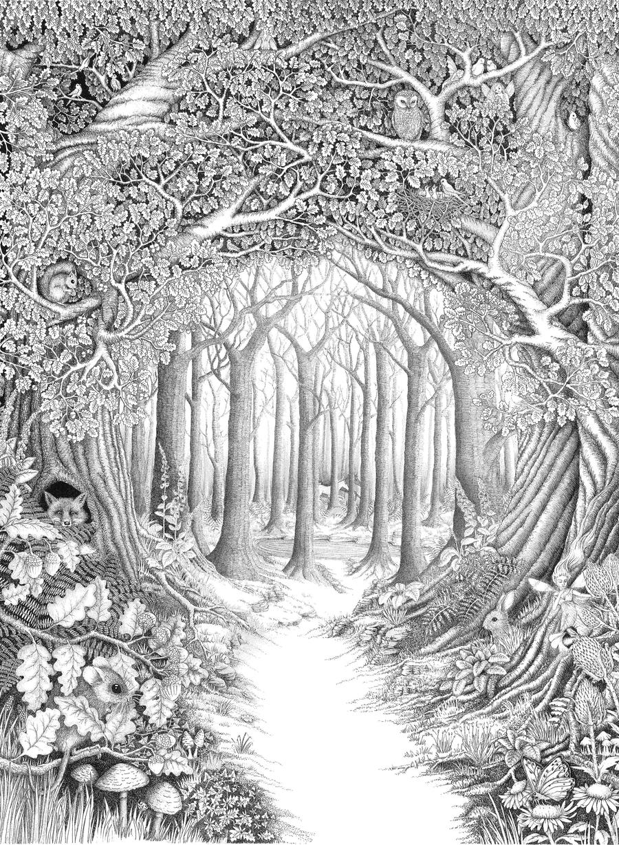 Enchanted forest