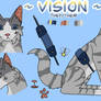 ~ Vision ref ~