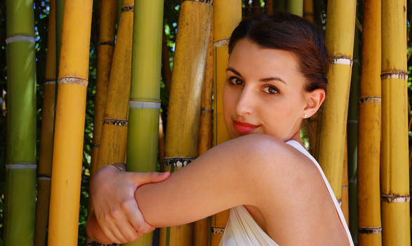 Bamboo Love