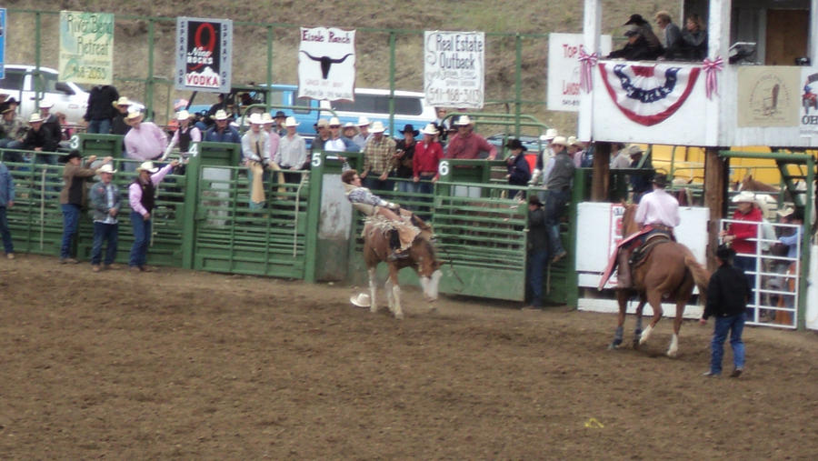 Bull Riding Deviantart Bull Ridin' by Shikahr24 on DeviantArt