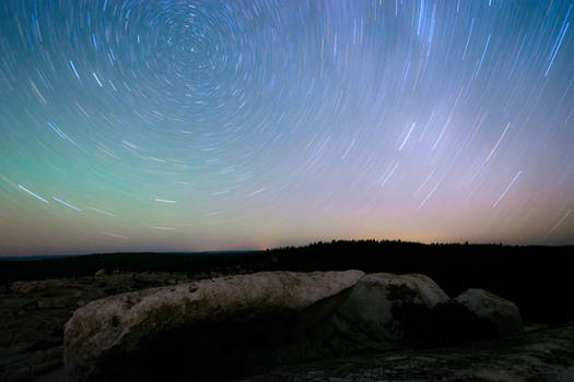 Bald Rock Stars 1/4