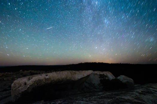 Bald Rock Stars 2/4