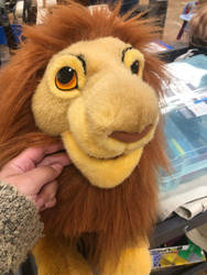 GoodWill Simba