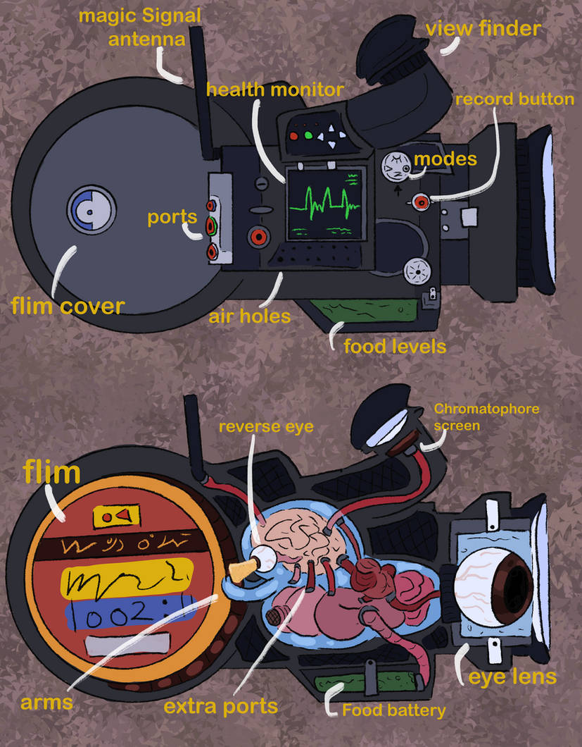 Bio Camera Diagram.