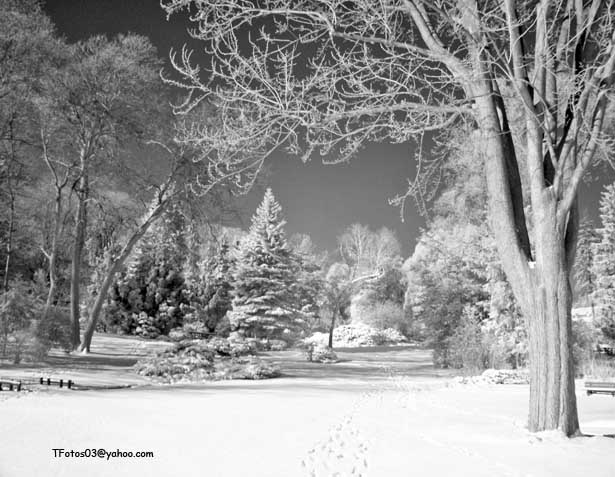 IR - James Gardens