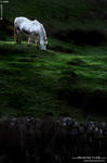 Ireland 09 by BlackdoG-MT