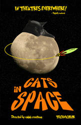 cats in space poster