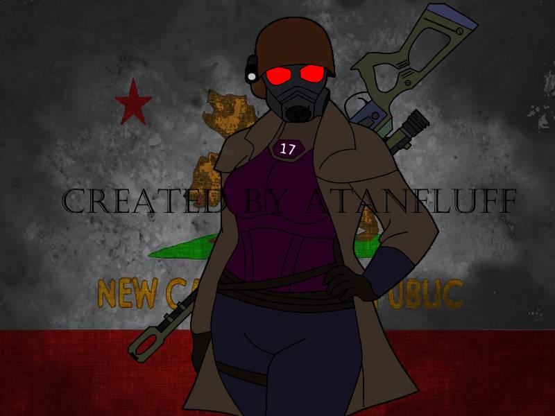 My NCR Ranger with the NCR flag by NeonxFluff on DeviantArt