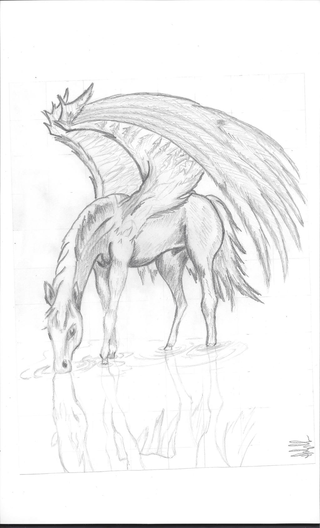 Pegasus