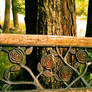 Tree and Bench