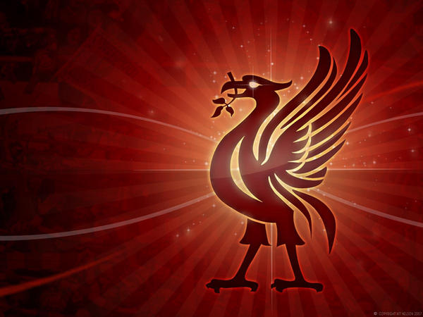 Liverbird Screensaver by kitster29