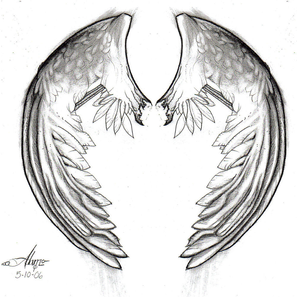 Broken_wings