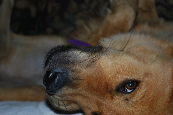 Please Wait.... Brain Loading by MayaSilverleaf on DeviantArt