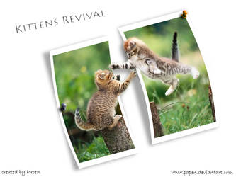 Kittens revival