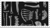 stamp of several bones neatly laid out