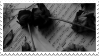 black roses on text