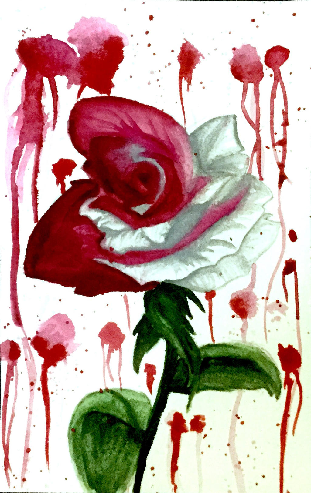 Blood rose