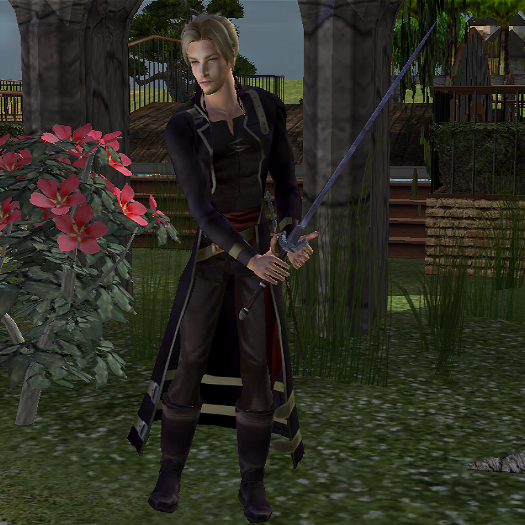 Lloyd Fire Emblem Sims by Prince-Stephen