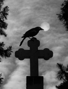 Quoth The Raven, Nevermore