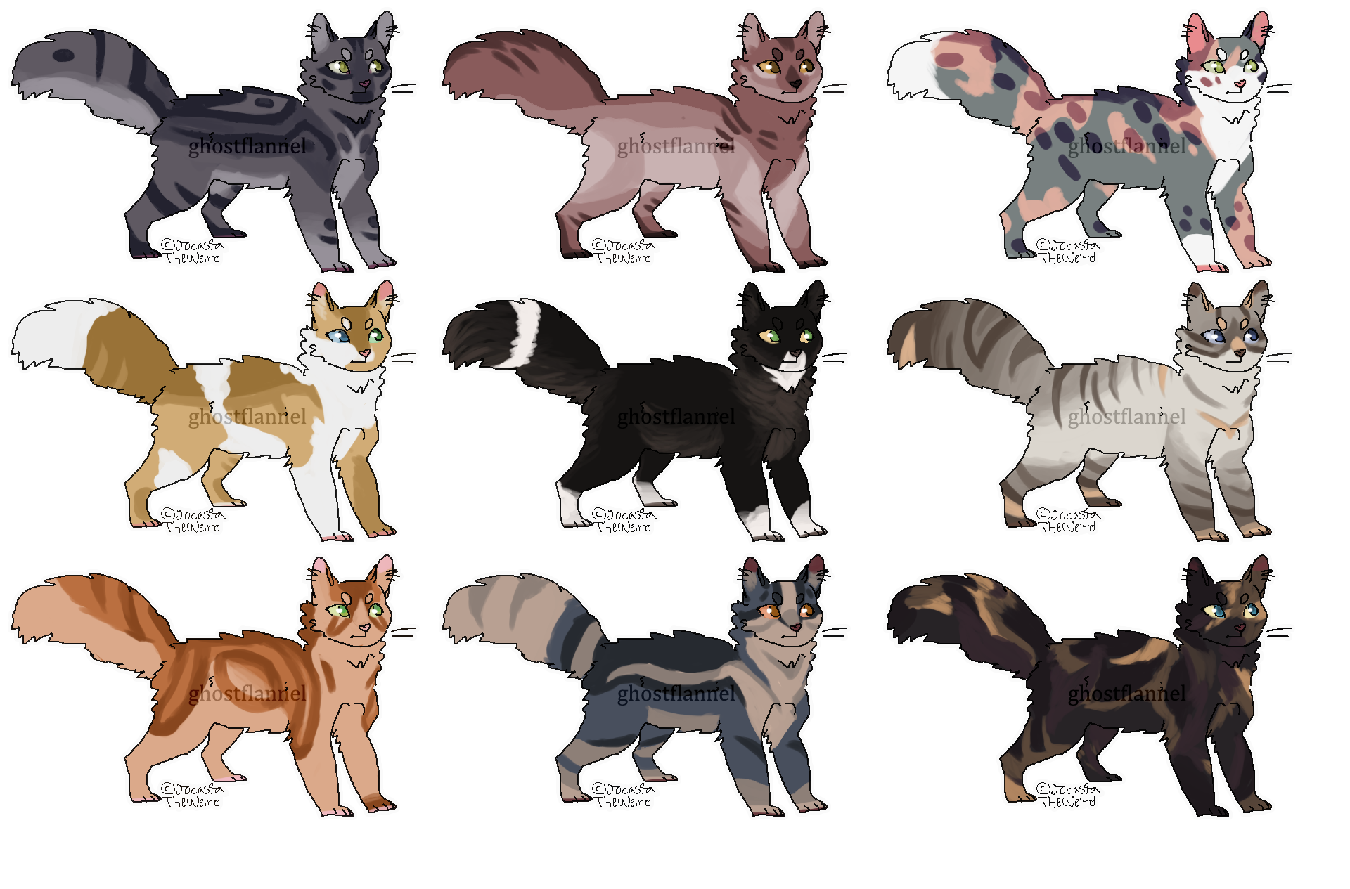 [5/9 open] cat adopts - Price Reduced!