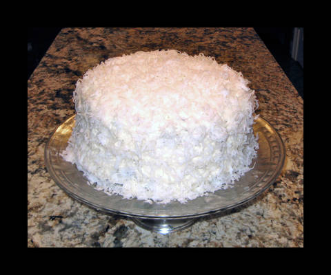 Chocolate and Coconut Cake