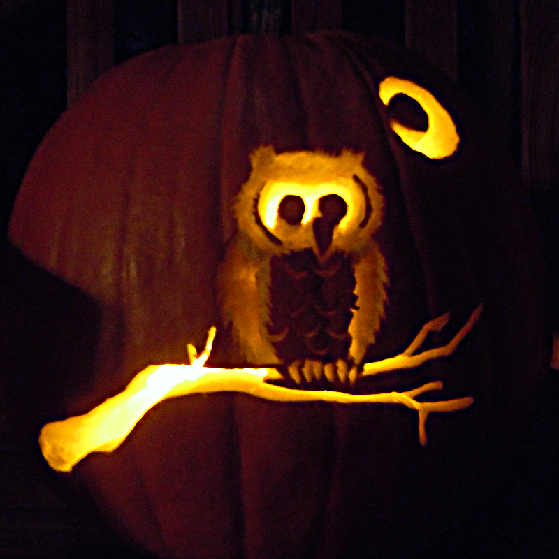 Owl Pumpkin