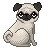 Pug avatar