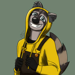 Dang Raccoon Icon