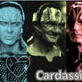 I luv Cardassians-poster