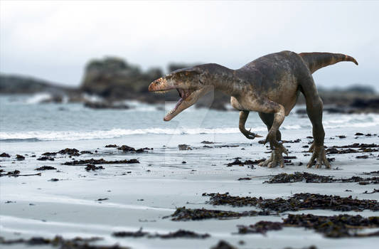 Streptospondylus Sur La Plage