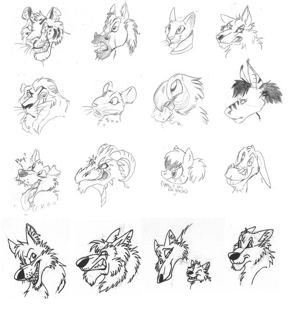 $1 HEAD SHOT EXAMPLES: OPEN