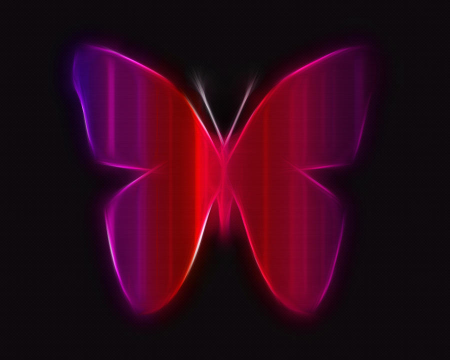 butterfly