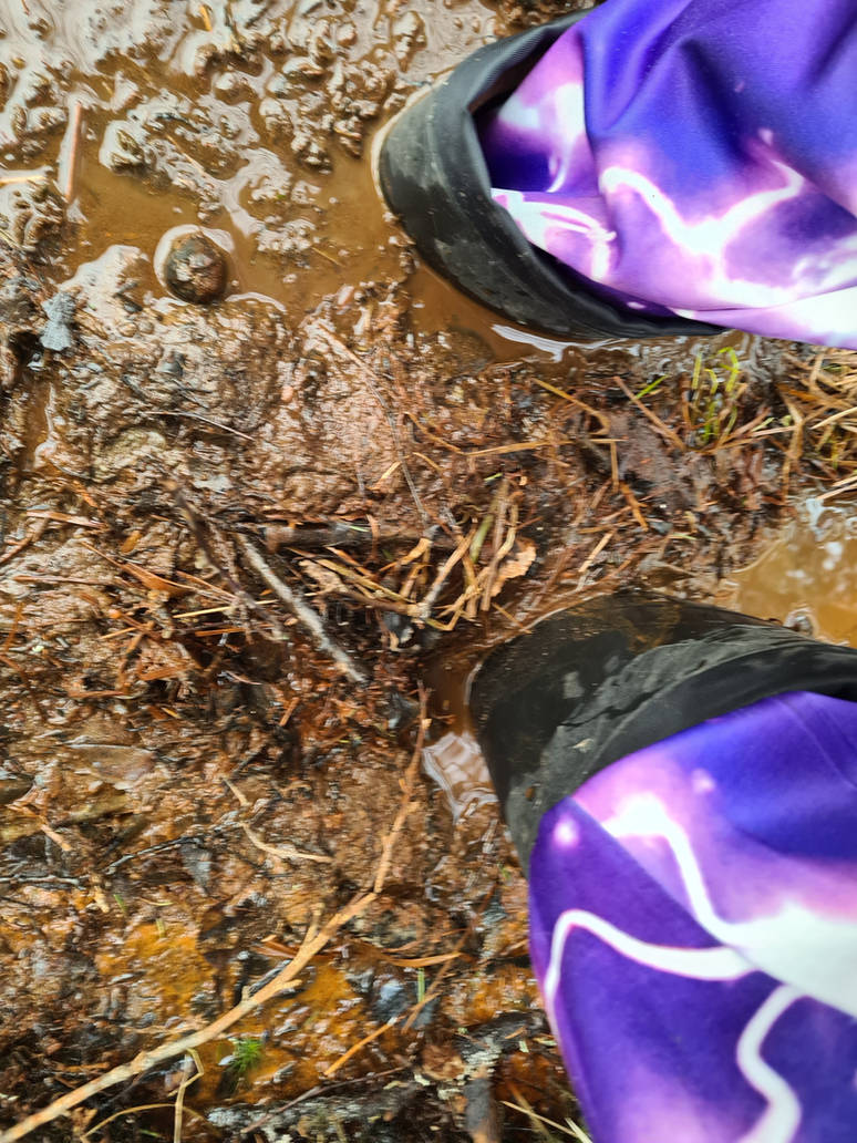 Quick Mud Quickmud by solen77 on DeviantArt