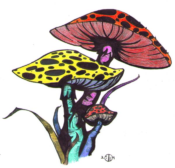 Shrooms