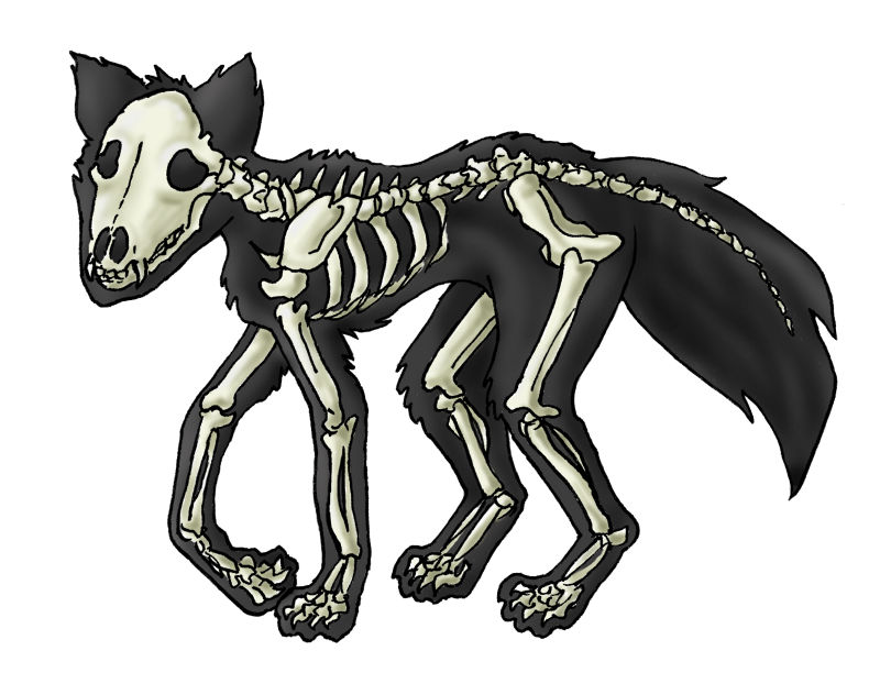 Fox Skeleton Sticker Skeleton Fox by ImaginaryFox on DeviantArt
