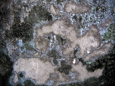 grunge texture