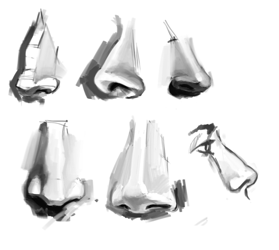 nose study